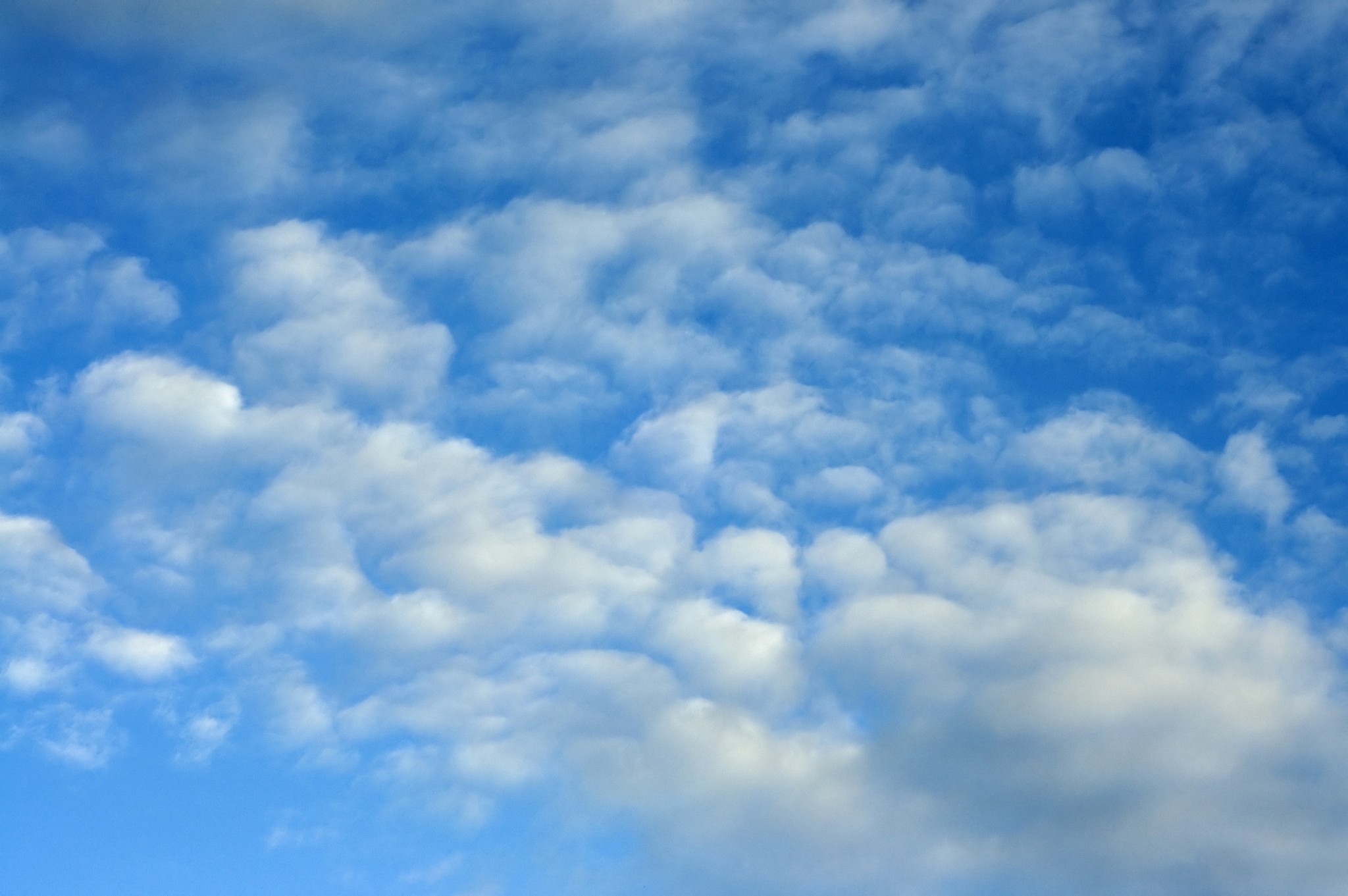 Behaaloscha: On Clouds | Reuven Chaim Klein | The Blogs