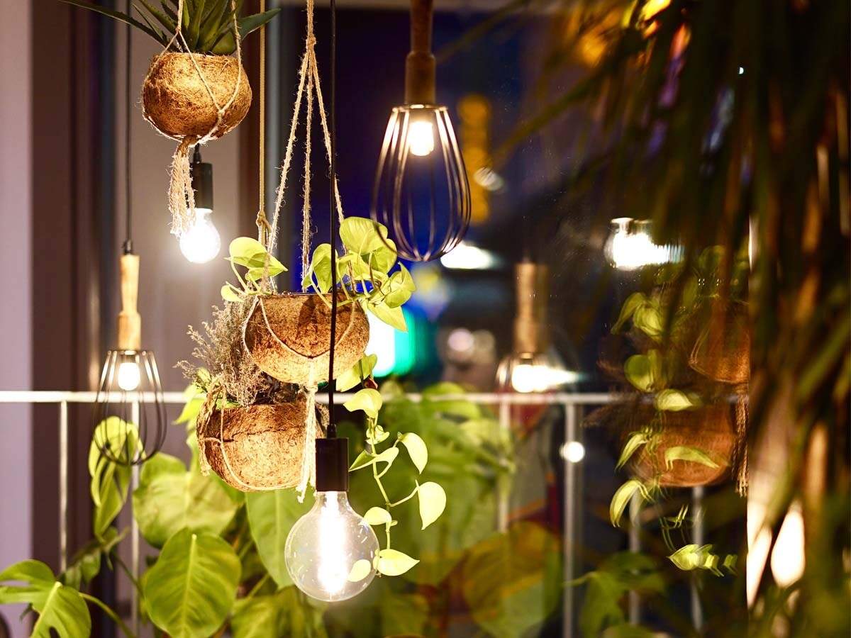 Living Room Plants Online India | Cabinets Matttroy
