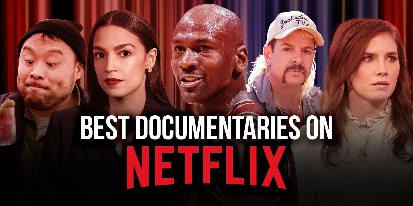 Best Netflix Nature Documentaries For Chilling Out
