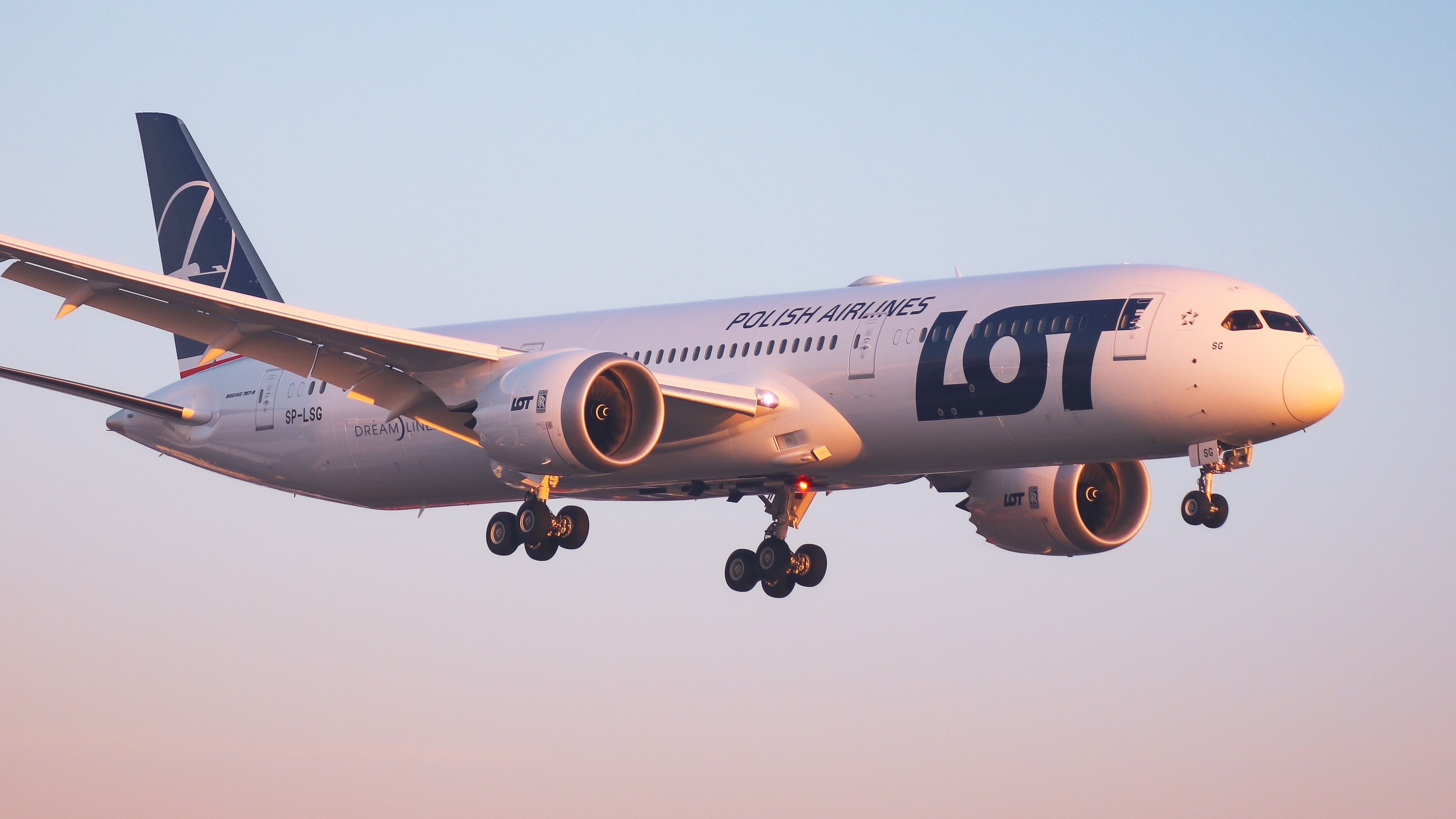 RECARO Reveals LOT Polish Airlines&#39; New Boeing 787 Cabin