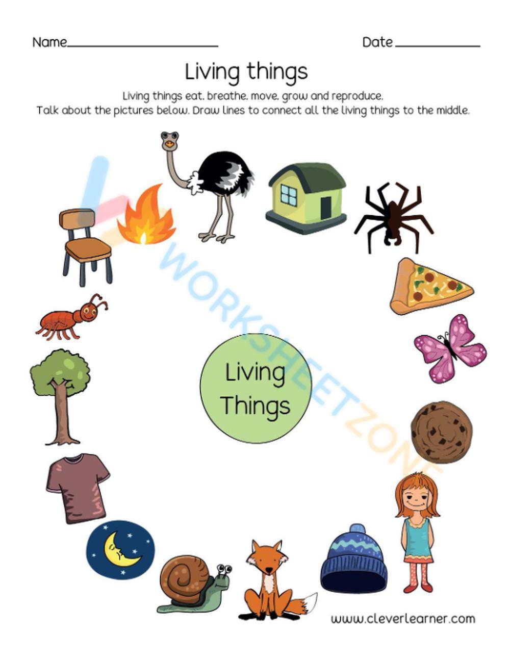 Living And Non Living Things 6 | Worksheet Zone