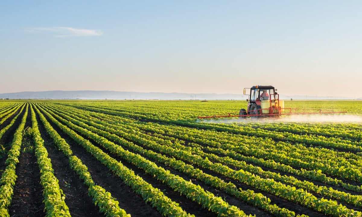 How Intensive Agriculture Works, And How It Differs From Extensive Agriculture