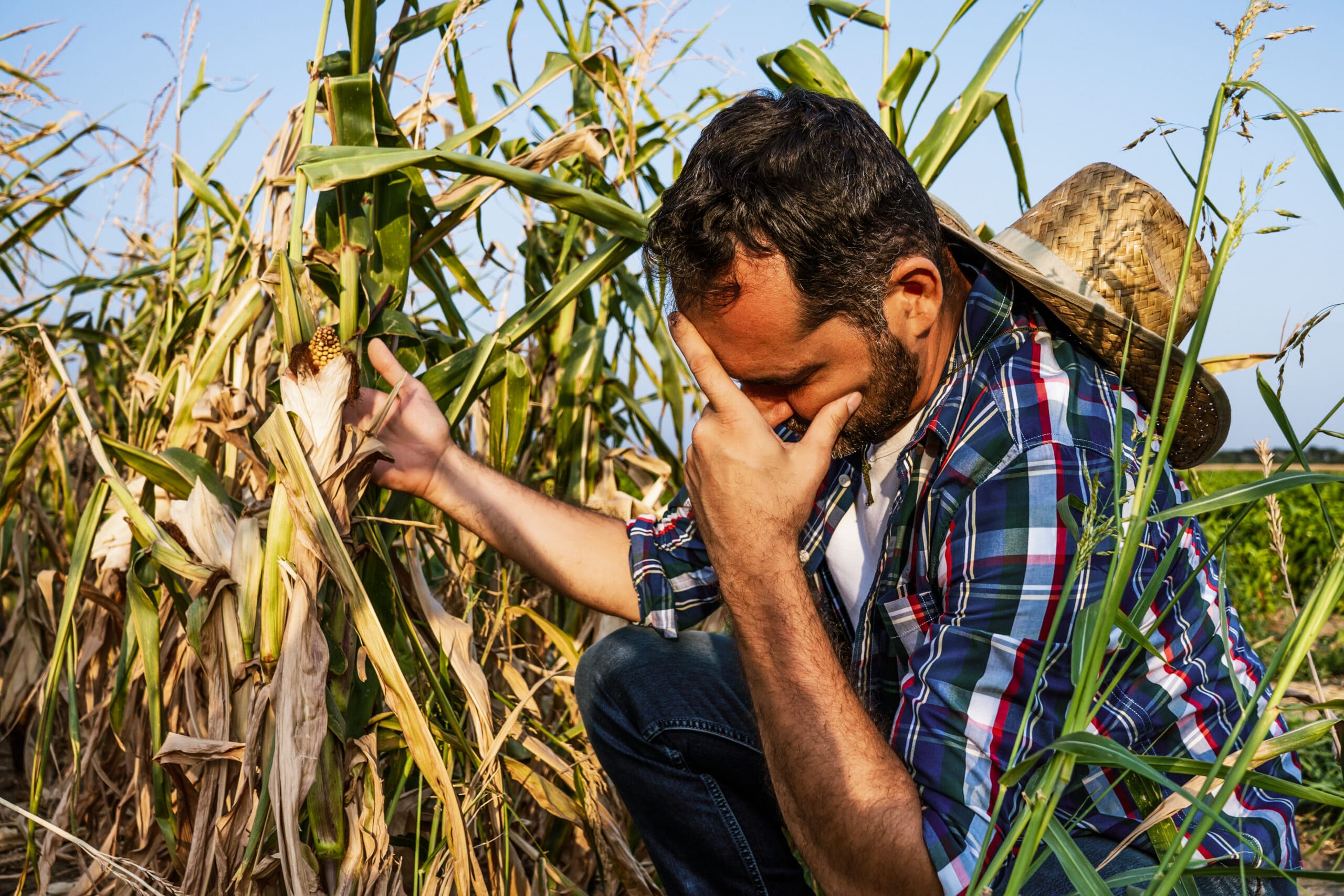 What Are 5 Problems Faced By Farmers?