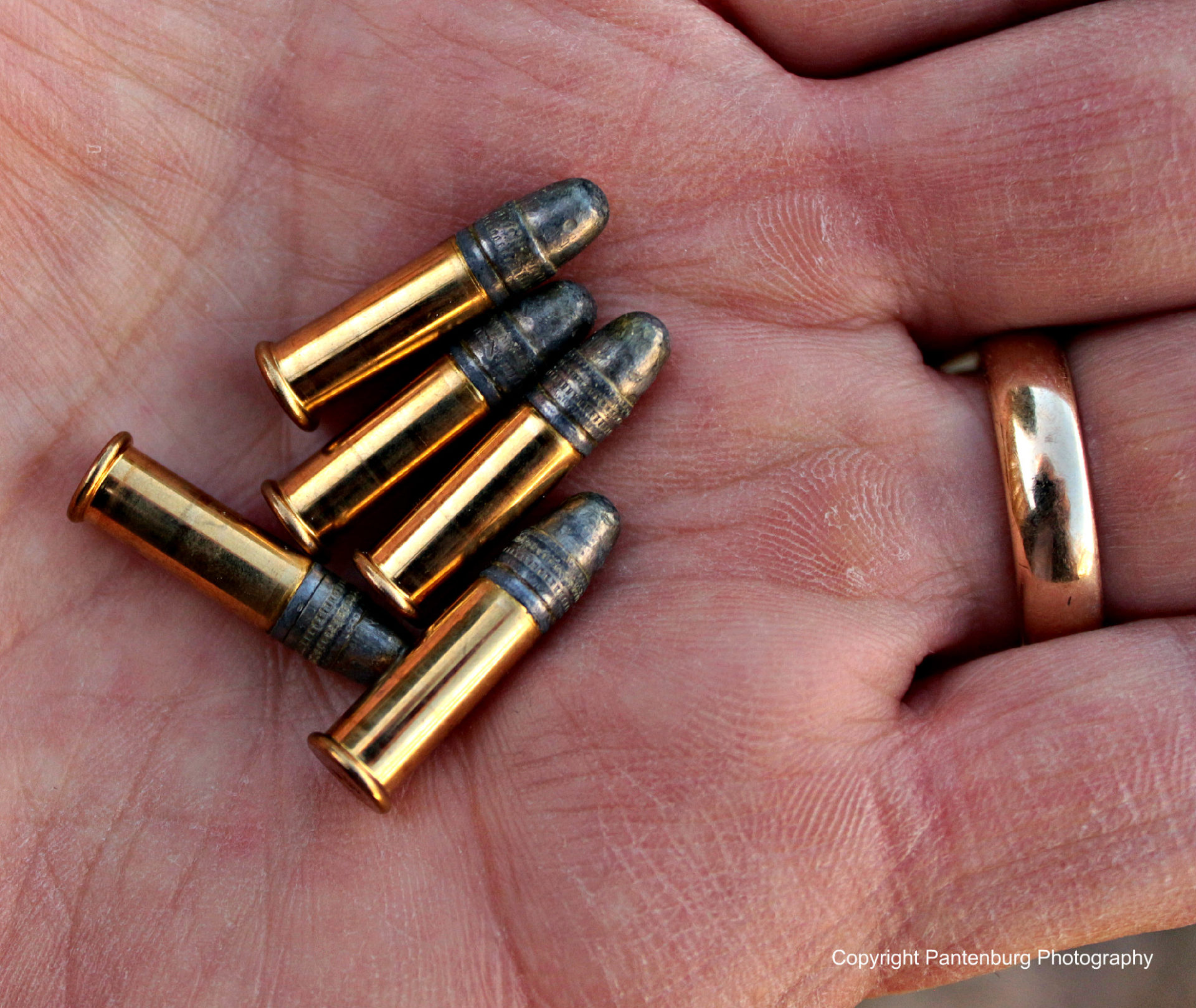 Five good reasons to own a .22 rifle – Survival Common Sense Blog | Emergency Preparedness