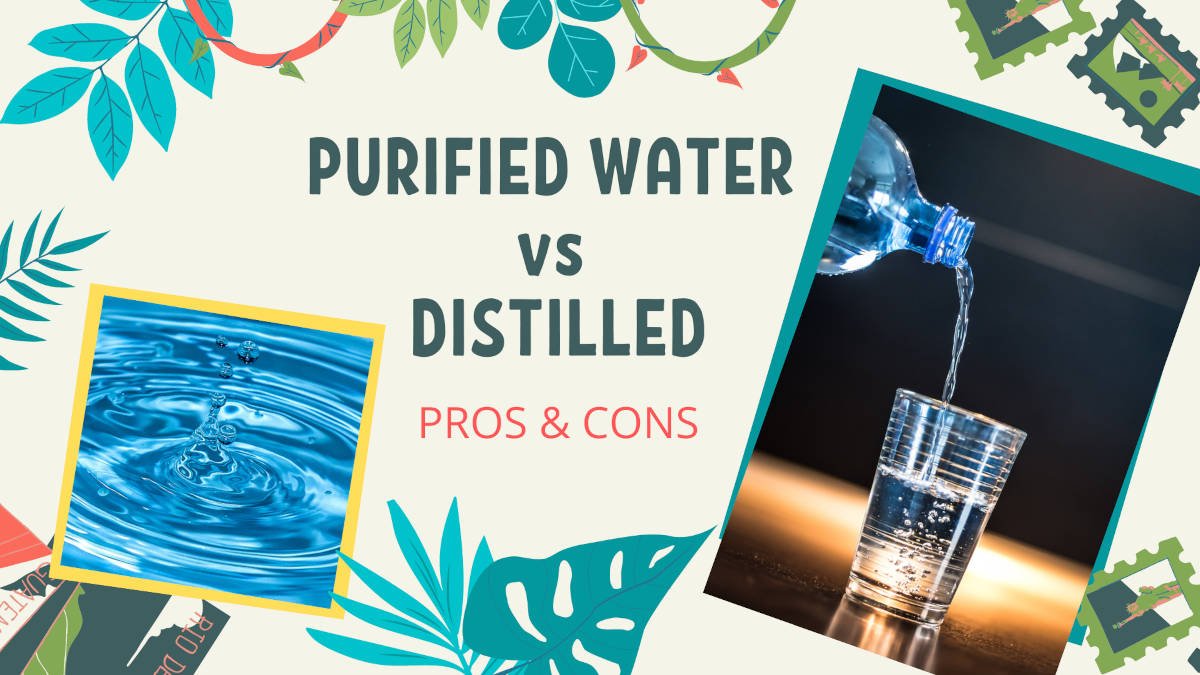Purified VS Distilled Water - Can You DRINK Distilled Water?