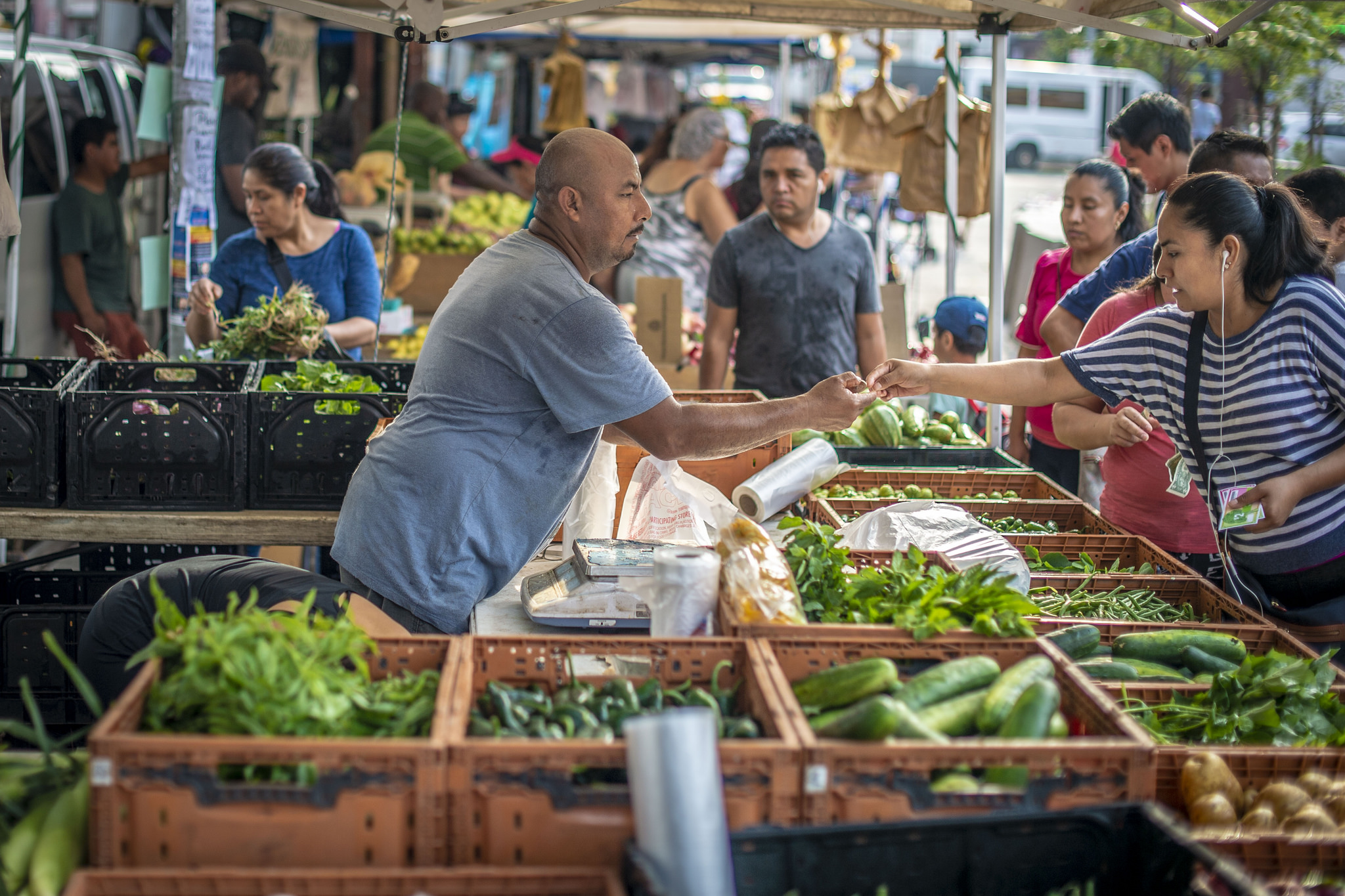 USDA Awards $27 Million To Support Local Food Projects - National Sustainable Agriculture Coalition