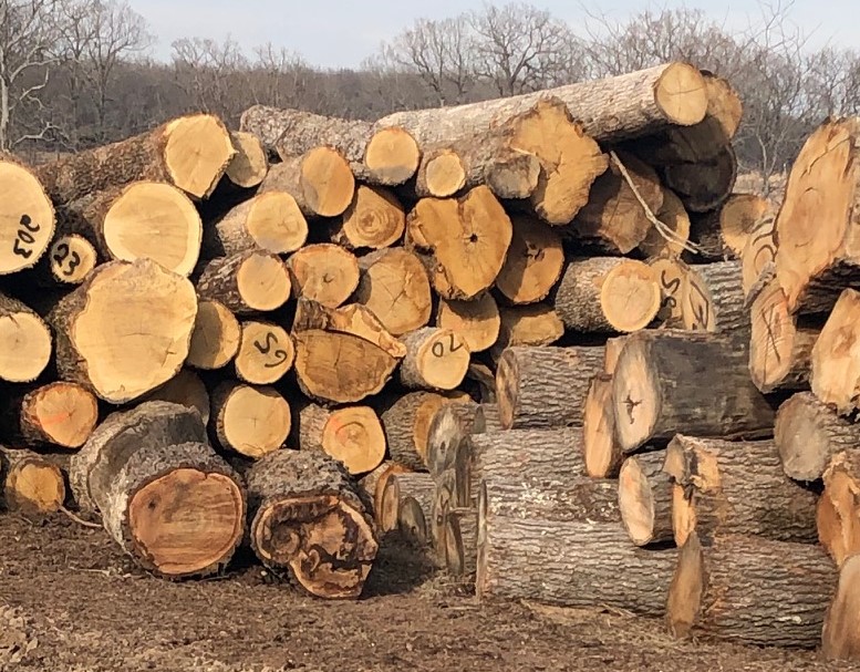 Wood And Lumber Products