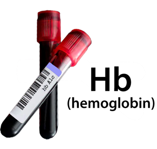 Hemoglobin - Complete Blood Count (CBC) - Lab Test Results Interpretation