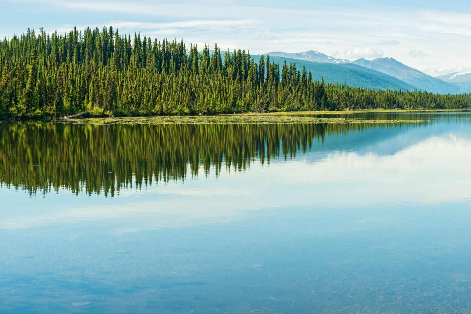 What Is A Lake? 5 Features That Define A Lake| The Ashland Chronicle-Oregon