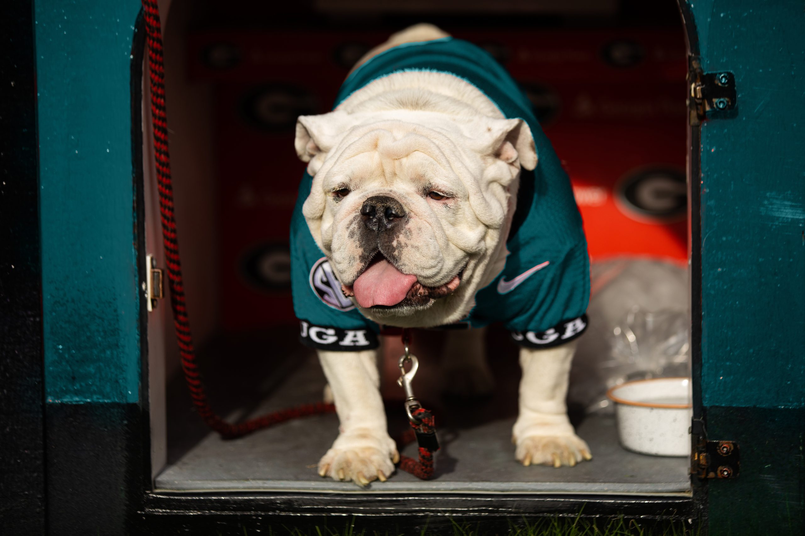 Analysis: Do The Philadelphia Eagles Love The Georgia Bulldogs More Than The Atlanta Falcons...
