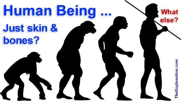 A Human Being--Their Material And Immaterial Composition
