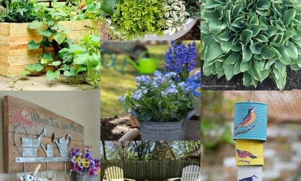 13 Outrageously Gorgeous DIY Decor Ideas| The How-To Home