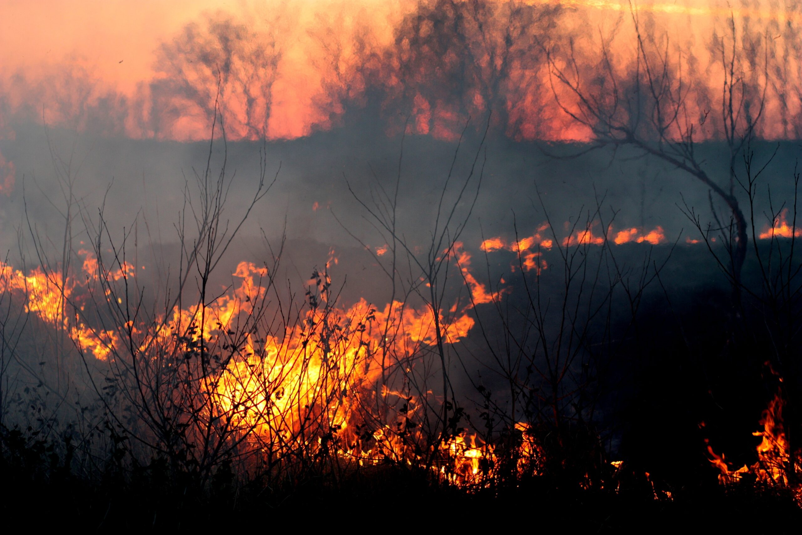 50% Rise In The Number Of Wildfires By 2100, According To Environmental Report – The...