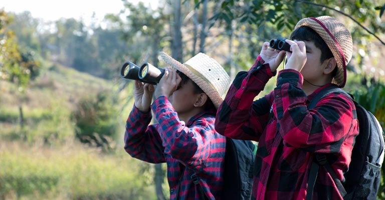 Essentials Of Beginning Birdwatching: A Novice&#39;s Guide To Avian Adventures - The Worlds Rarest Birds