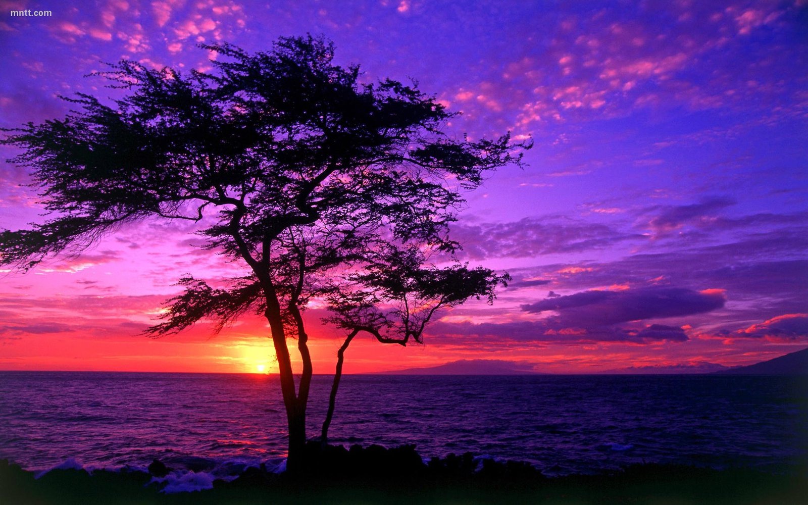 33 Beautiful Sunrise and Sunset Pictures – The WoW Style