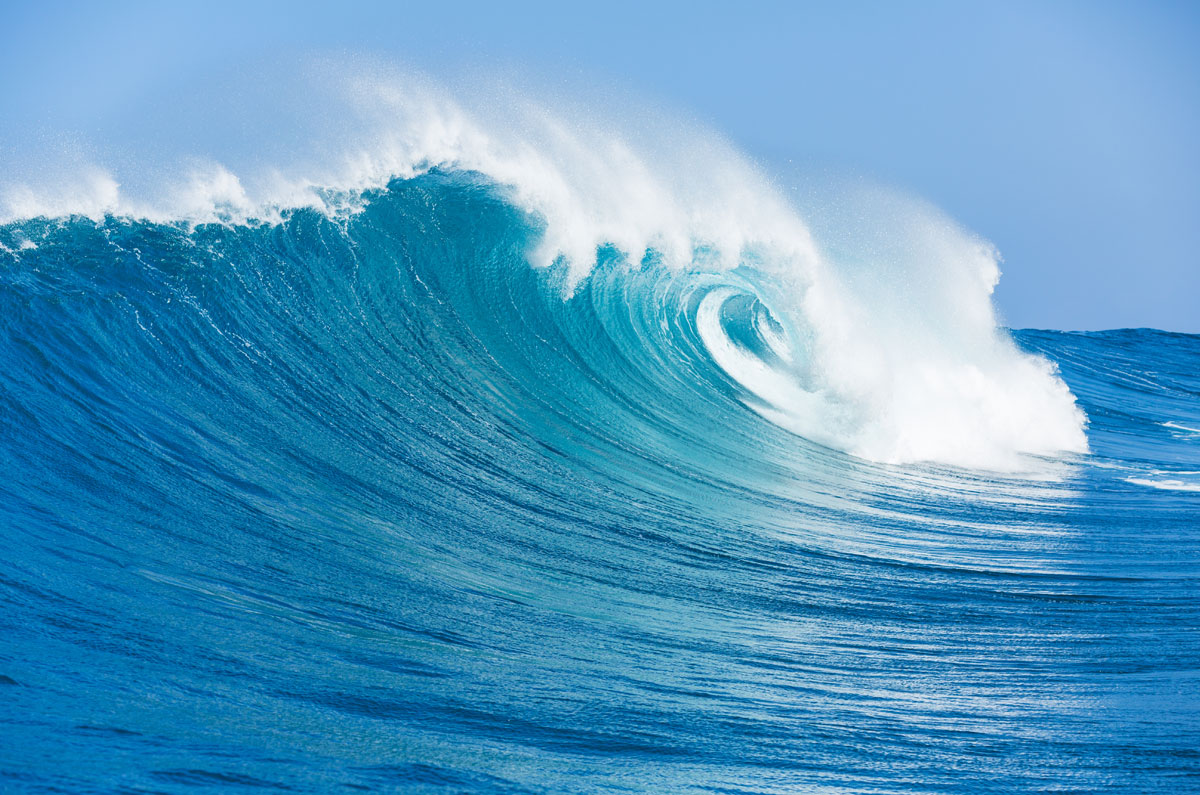 The Next Wave - The Visionary Group