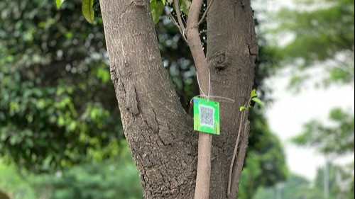 Berita Foto: Ribuan Pohon Di Depok Dipasangi QR Code