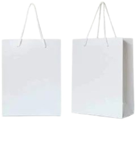 Plain White Paper Carry Bag - Feature: Moisture Proof At Best Price In New Delhi| Sriyug Print...