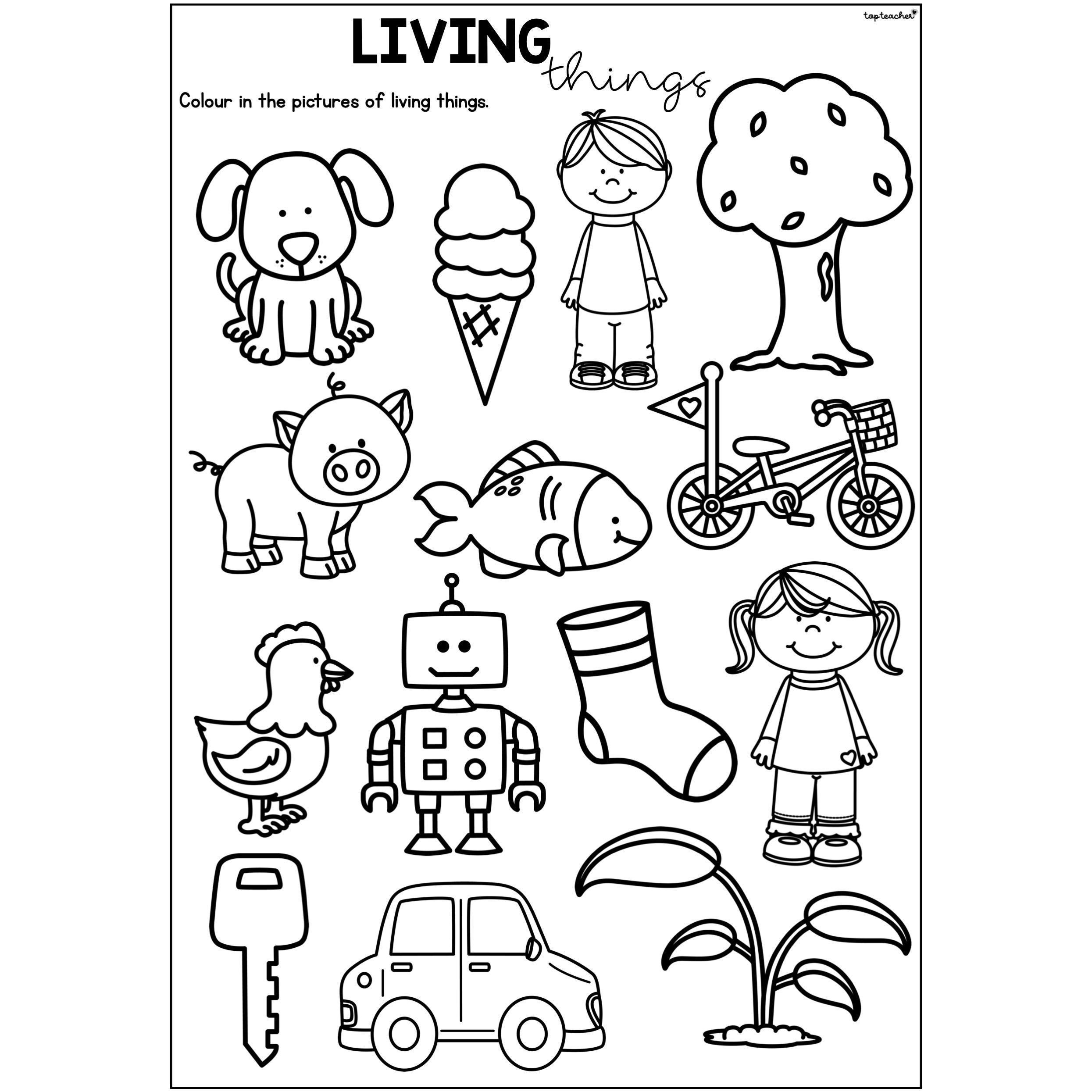 Science, Living Things And Non-Living Things Worksheet #2, 47% OFF