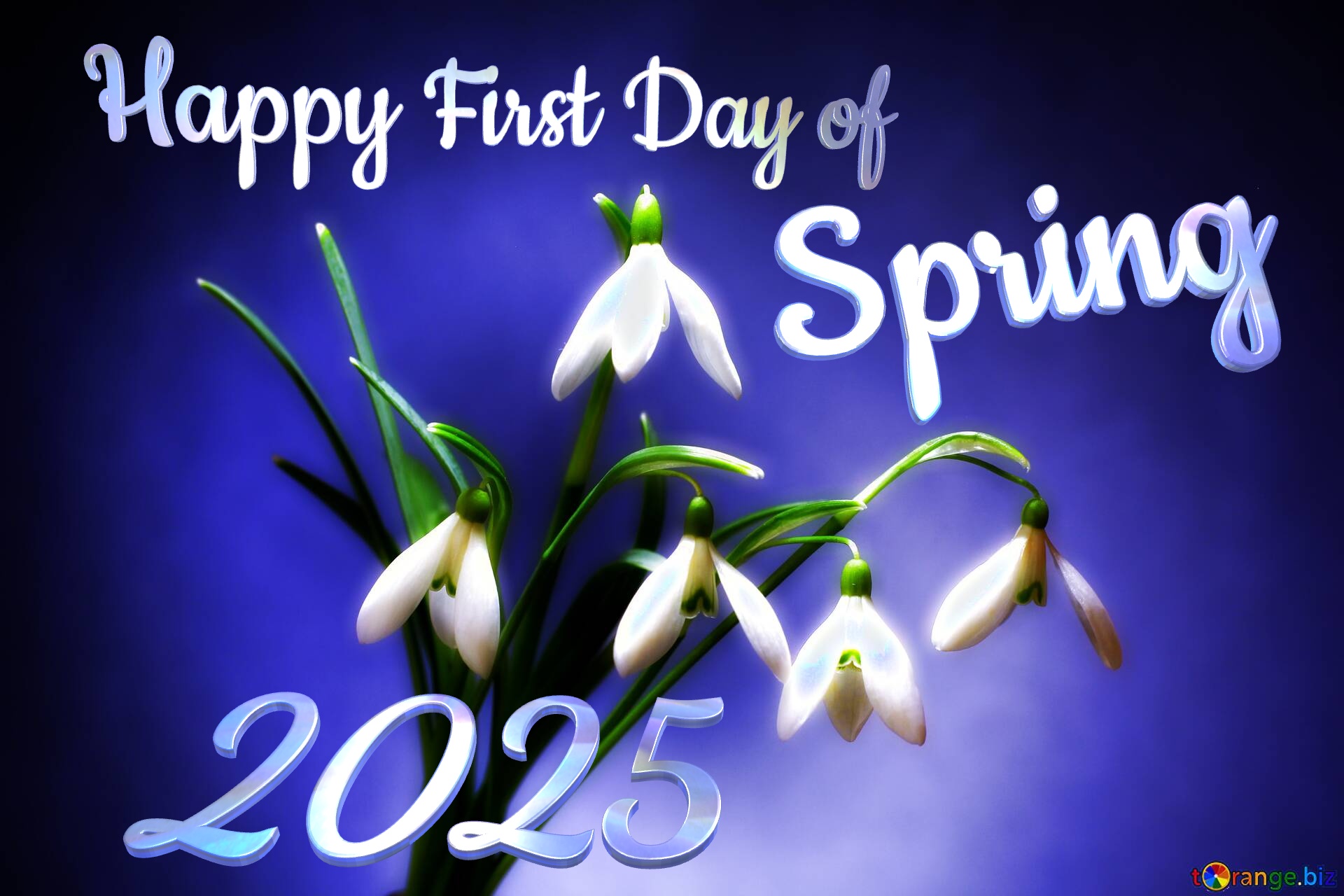 1st Day Of Spring 2024 Pictures - Tobi Aeriela