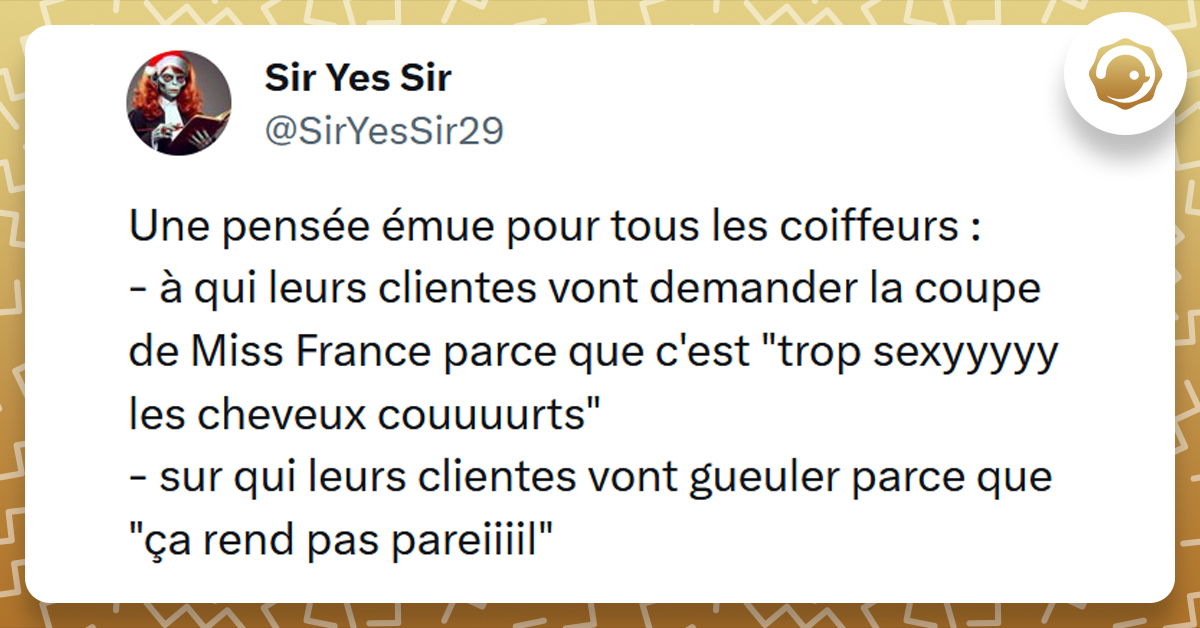 Top 17 Des Tweets Les Plus Drôles Chez Le Coiffeur - Twog