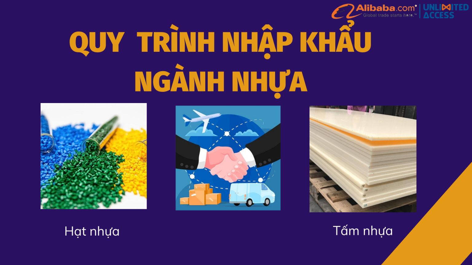 Quy Trình Nhập Khẩu Ngành Nhựa - Unlimited Access - Đại Lý Quyền Chính Thức Alibaba.com