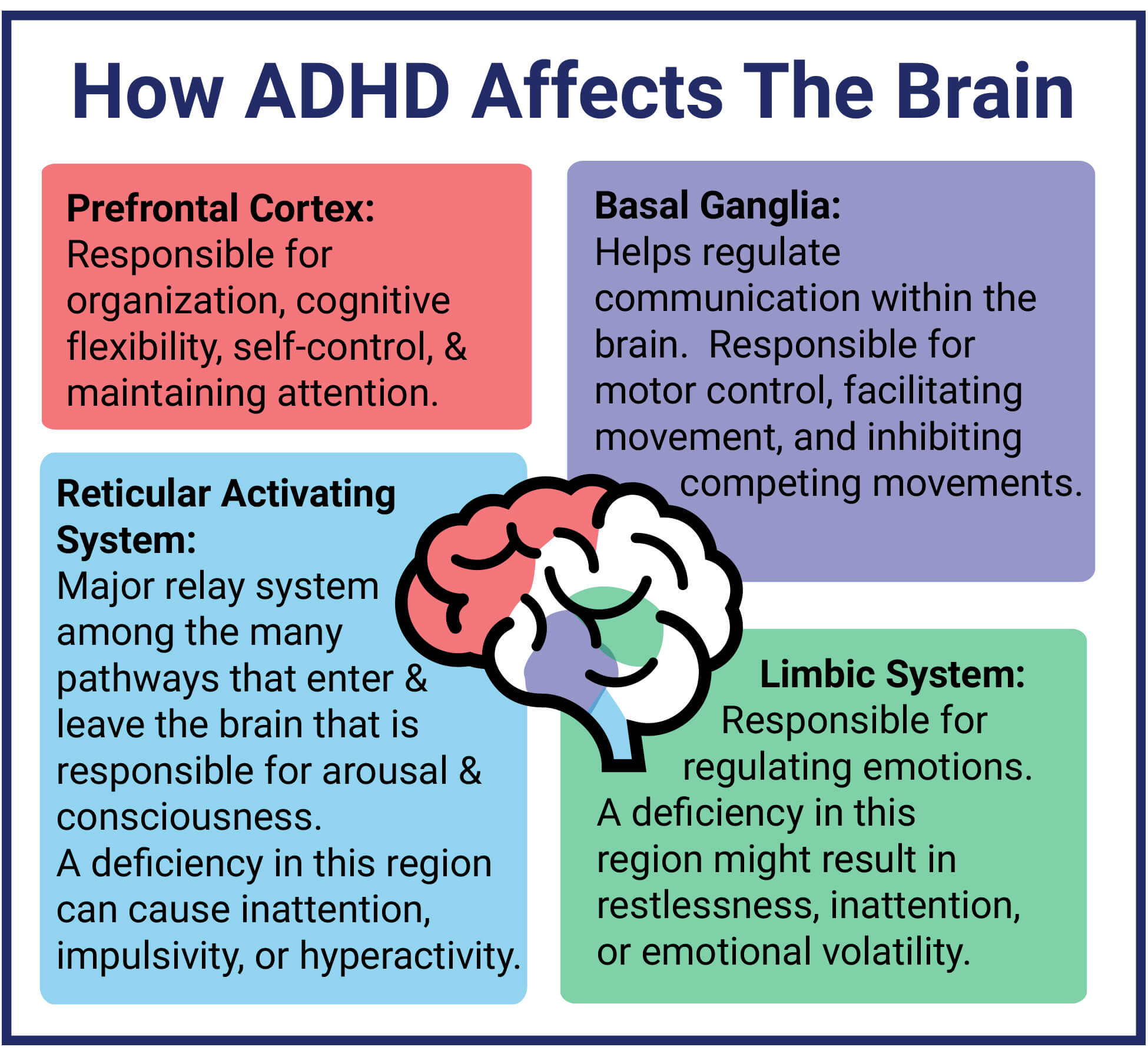 What Is ADHD? An Overview Of The Causes And Signs Of ADHD| Verdugo Psychological Associates