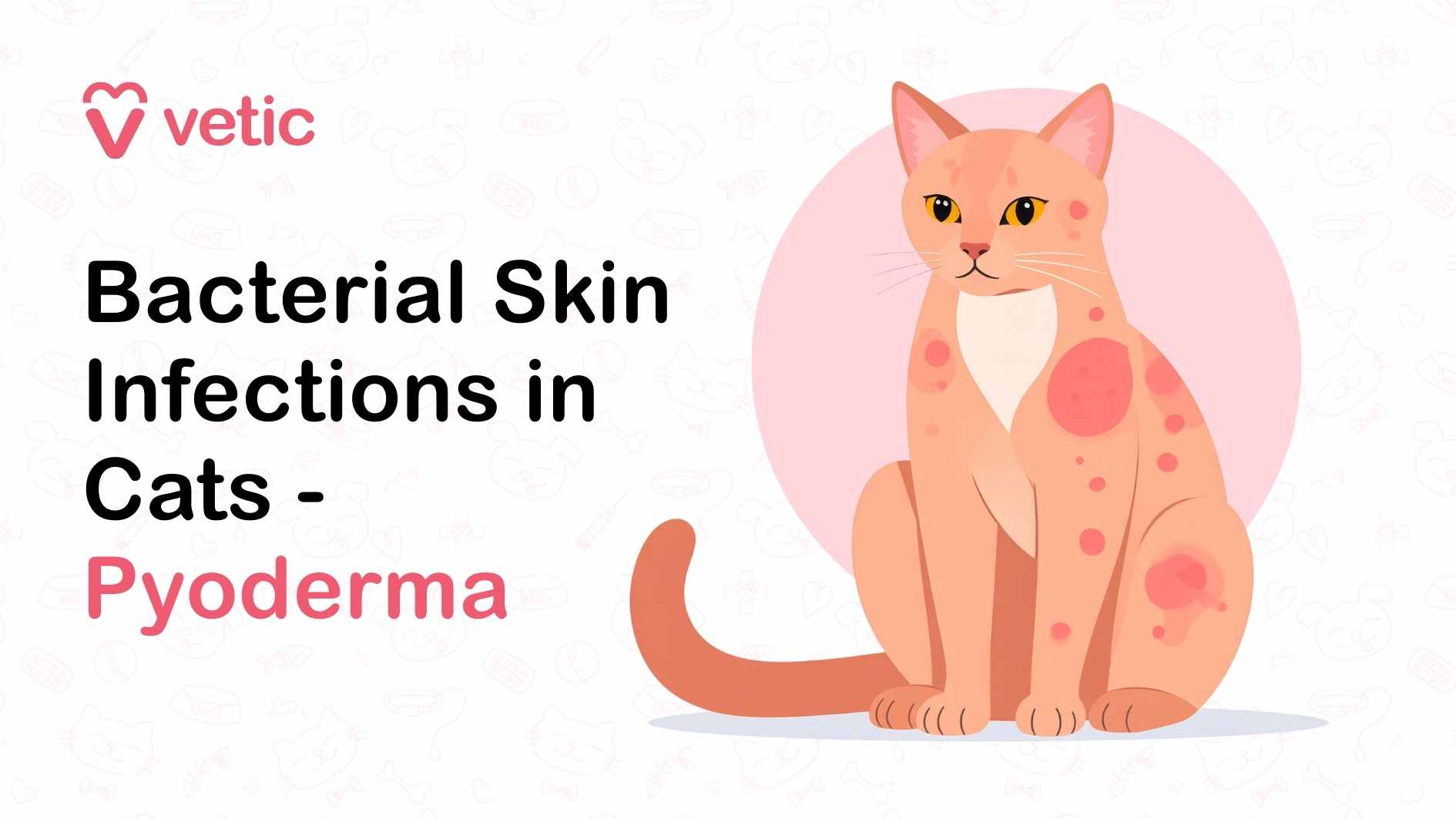 20 Common Cat Health Problems: Signs, Symptoms and Solutions
