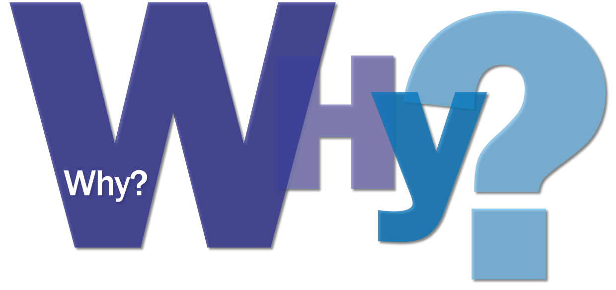 Website Solutions| Seattle Web Design Company| SEO Experts