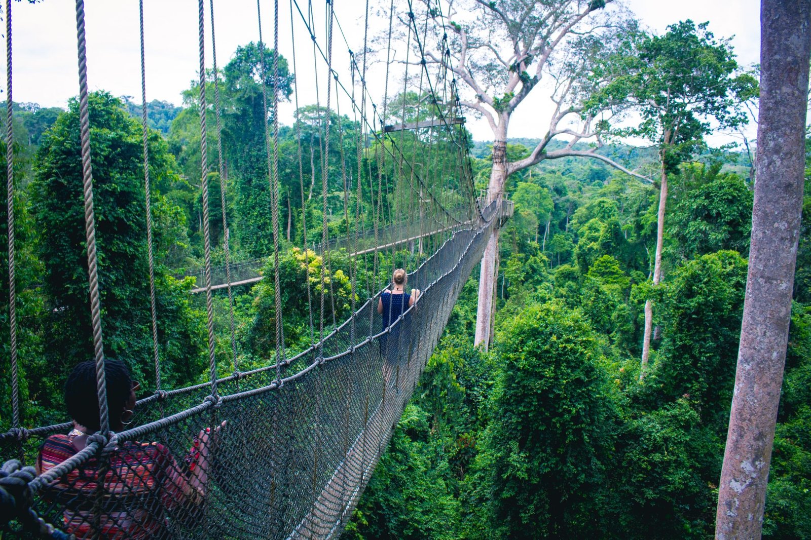 Kakum National Park - Volunteer Overseas With IVI