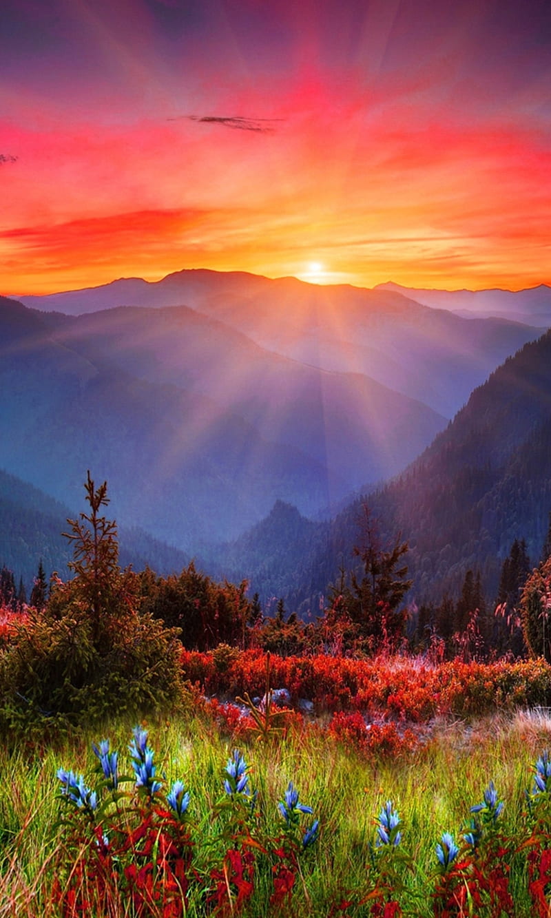 Sunset Landscape Photos Hd