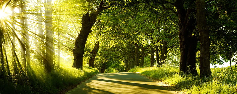 Warm Nature Wallpaper