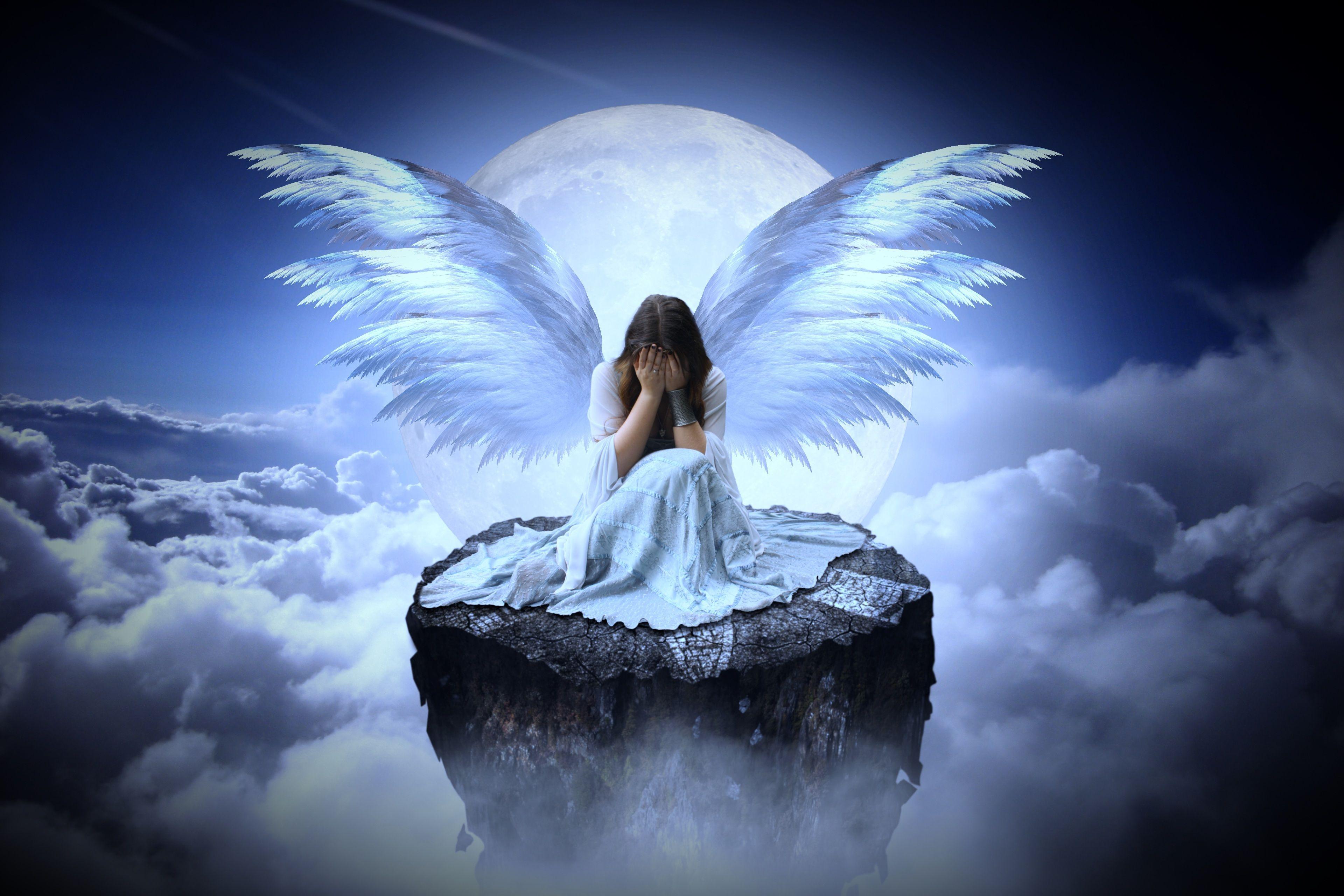 What Is Your Angel Number - Business Coral