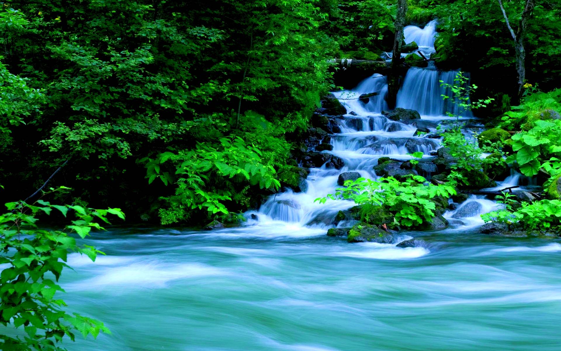 Desktop Backgrounds Nature Water