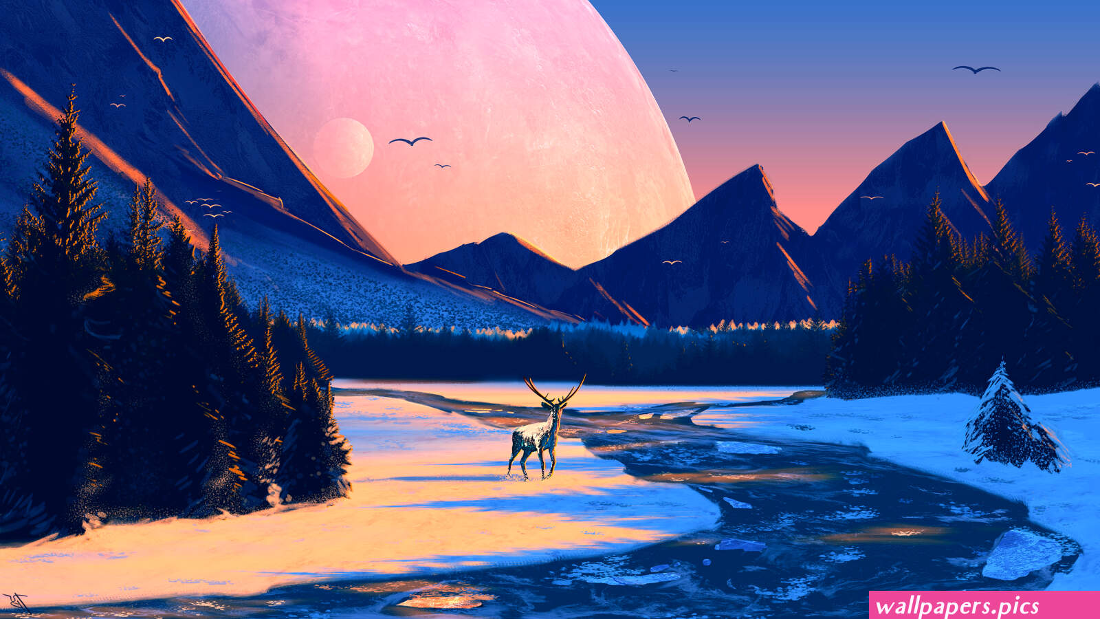 650 Sunrise HD Wallpapers and Backgrounds | Wallpapers.Pics