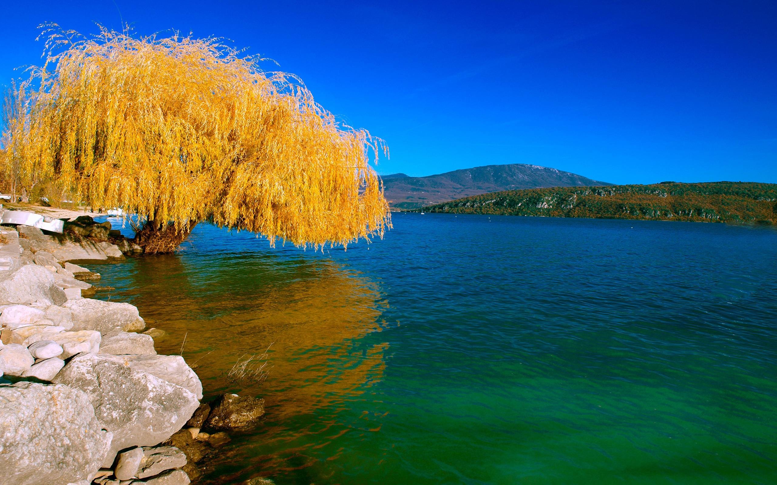 Full HD Nature Wallpapers ·① WallpaperTag
