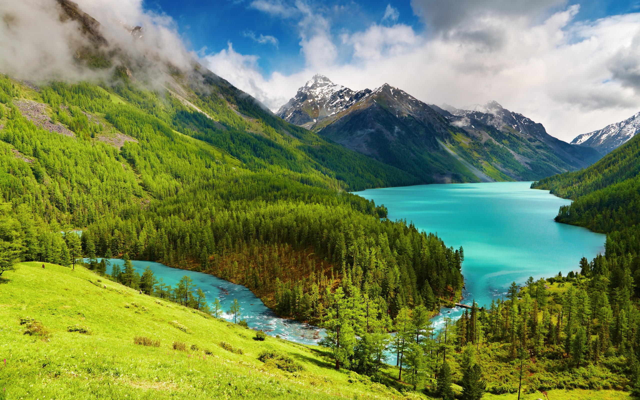 forest, Mountain, Trees, Water, Lake, Landscape, Nature Wallpapers HD / Desktop and Mobile ...