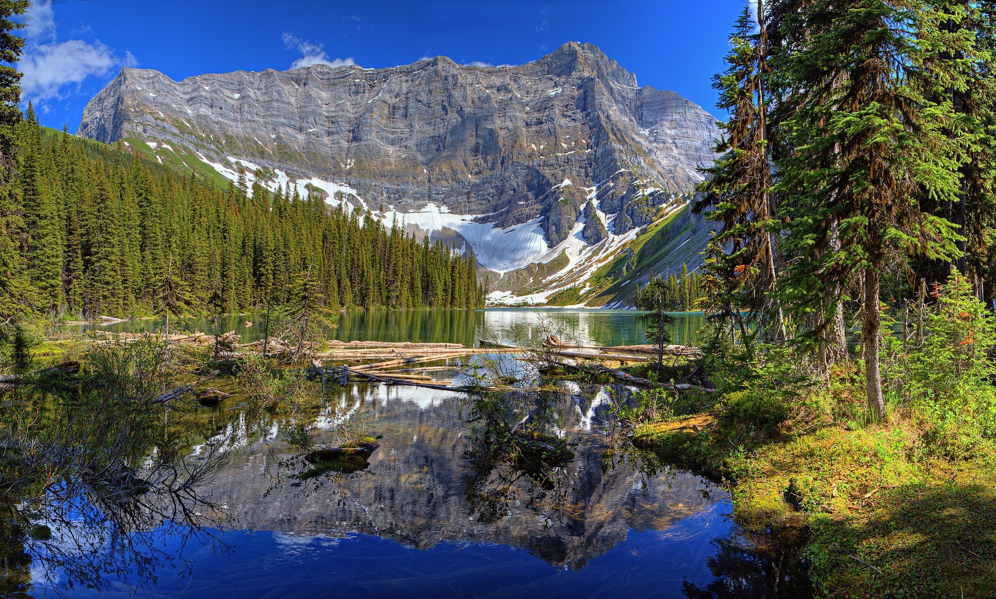 Nature, Landscape, Mountain, River, Pine Trees, Forest Wallpapers HD / Desktop And Mobile ...