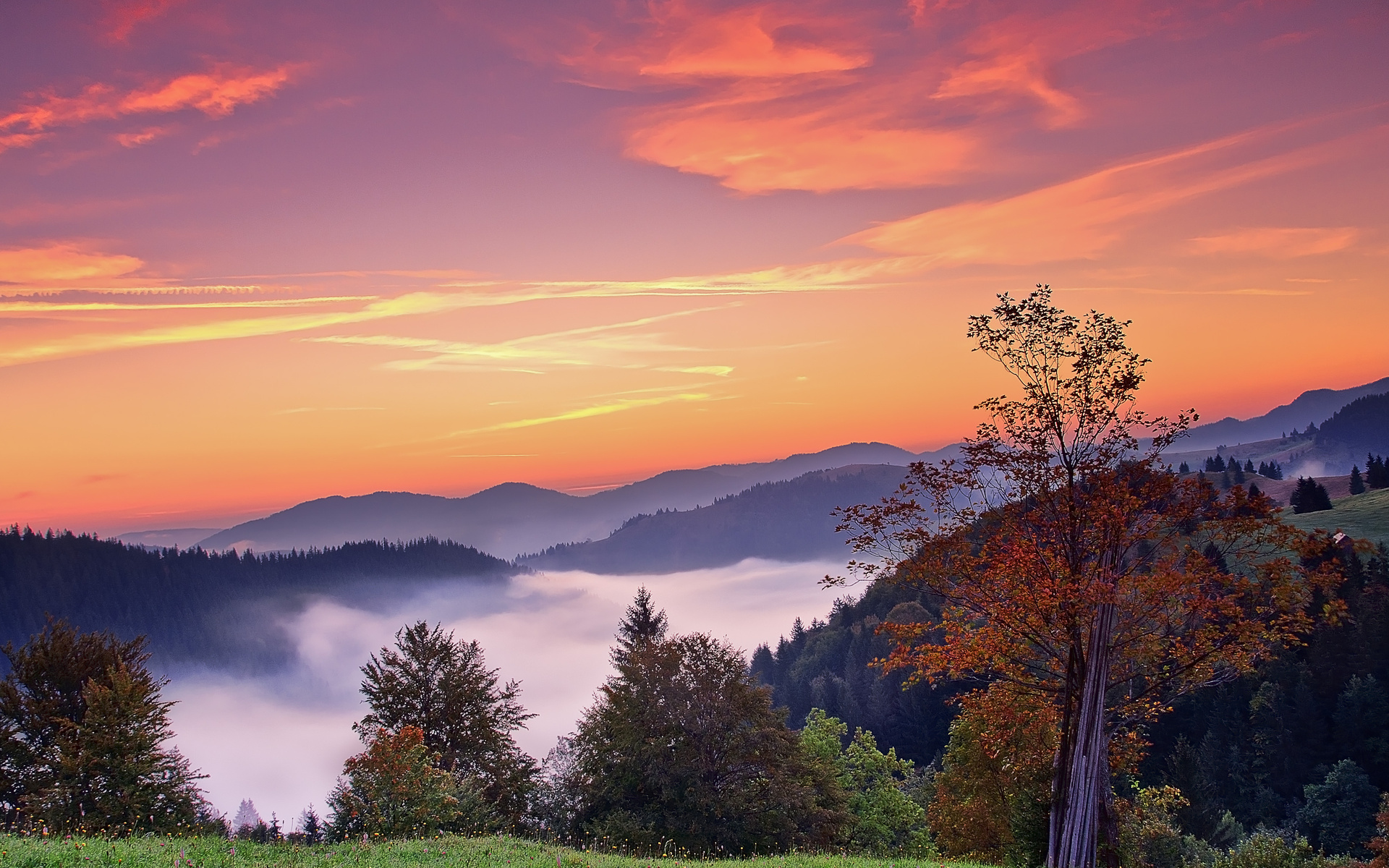sunset, Mountains, Trees, Fall, Landscape, Autumn, Fog, Sunrise Wallpapers HD / Desktop and ...