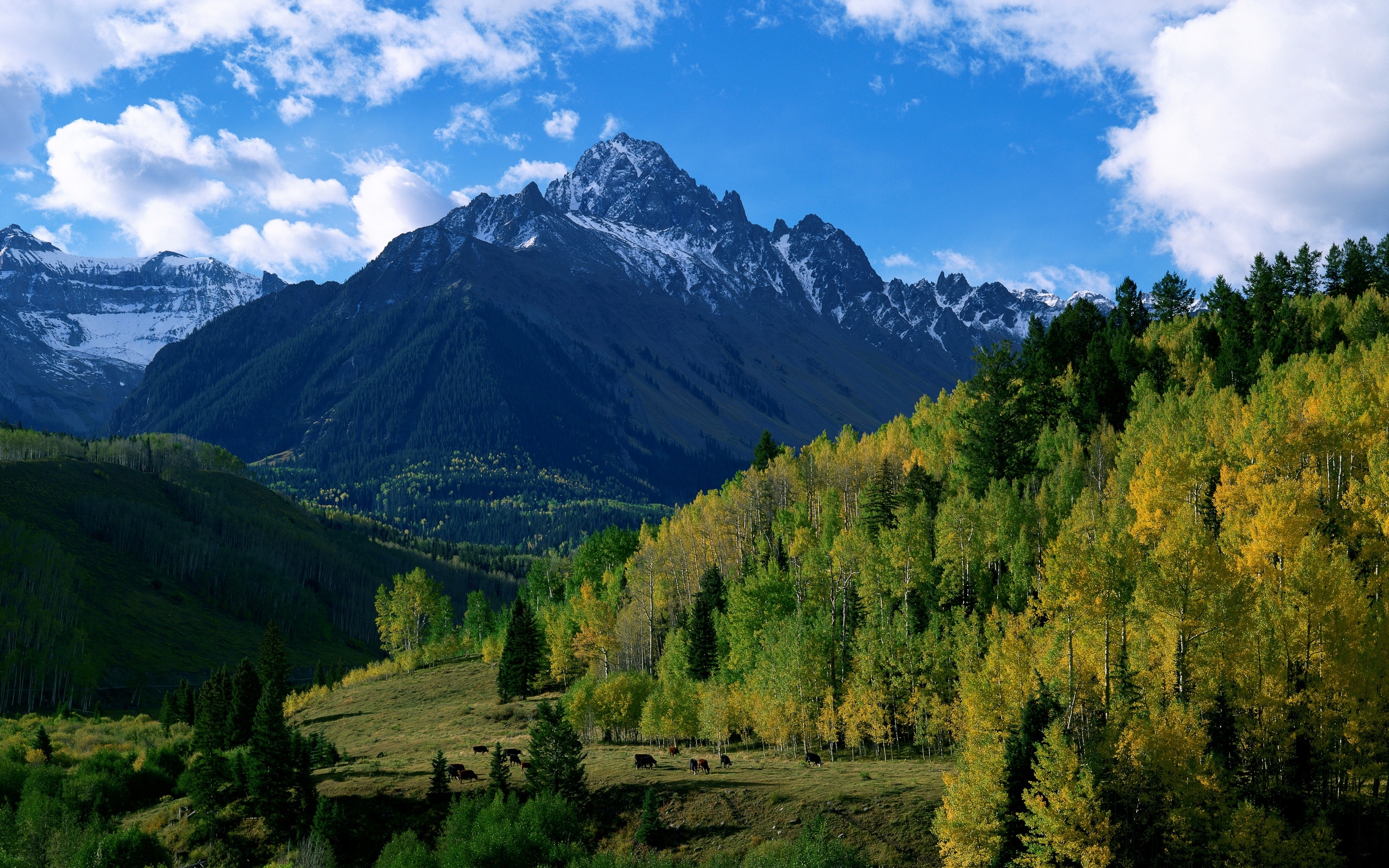 Trees Landscape Nature Mountain Sky Wallpapers Hd Des - Vrogue.co