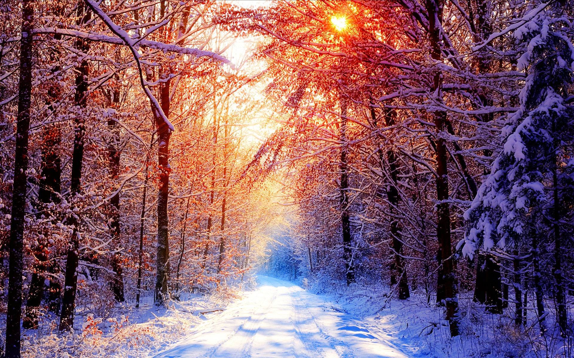 winter, Nature, Snow, Beautiful, Lovely, Landscape, Landscapes Wallpapers HD / Desktop and ...