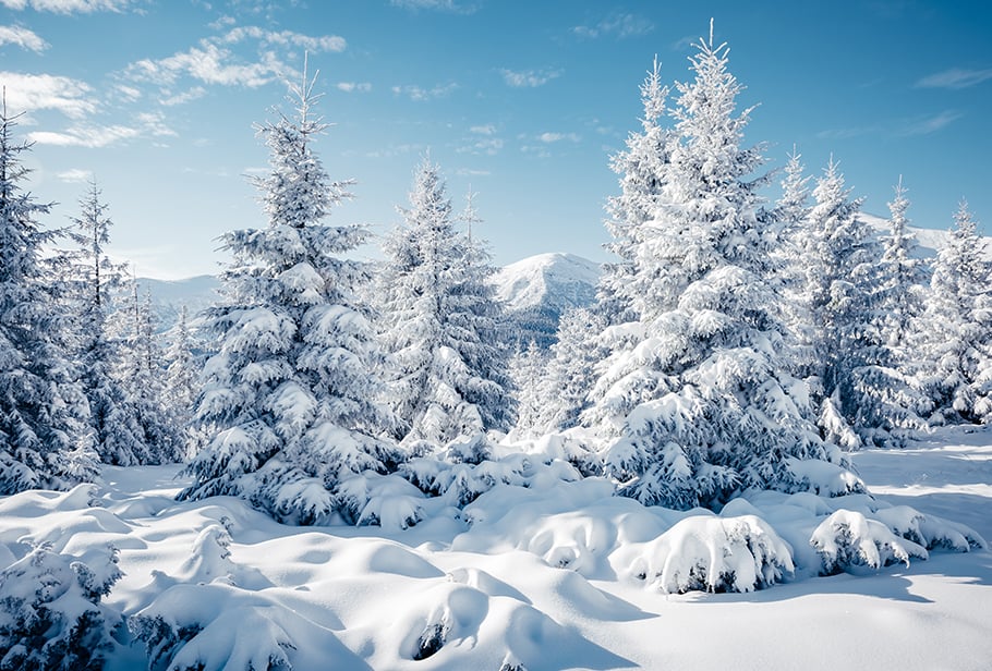 Signs of Winter
