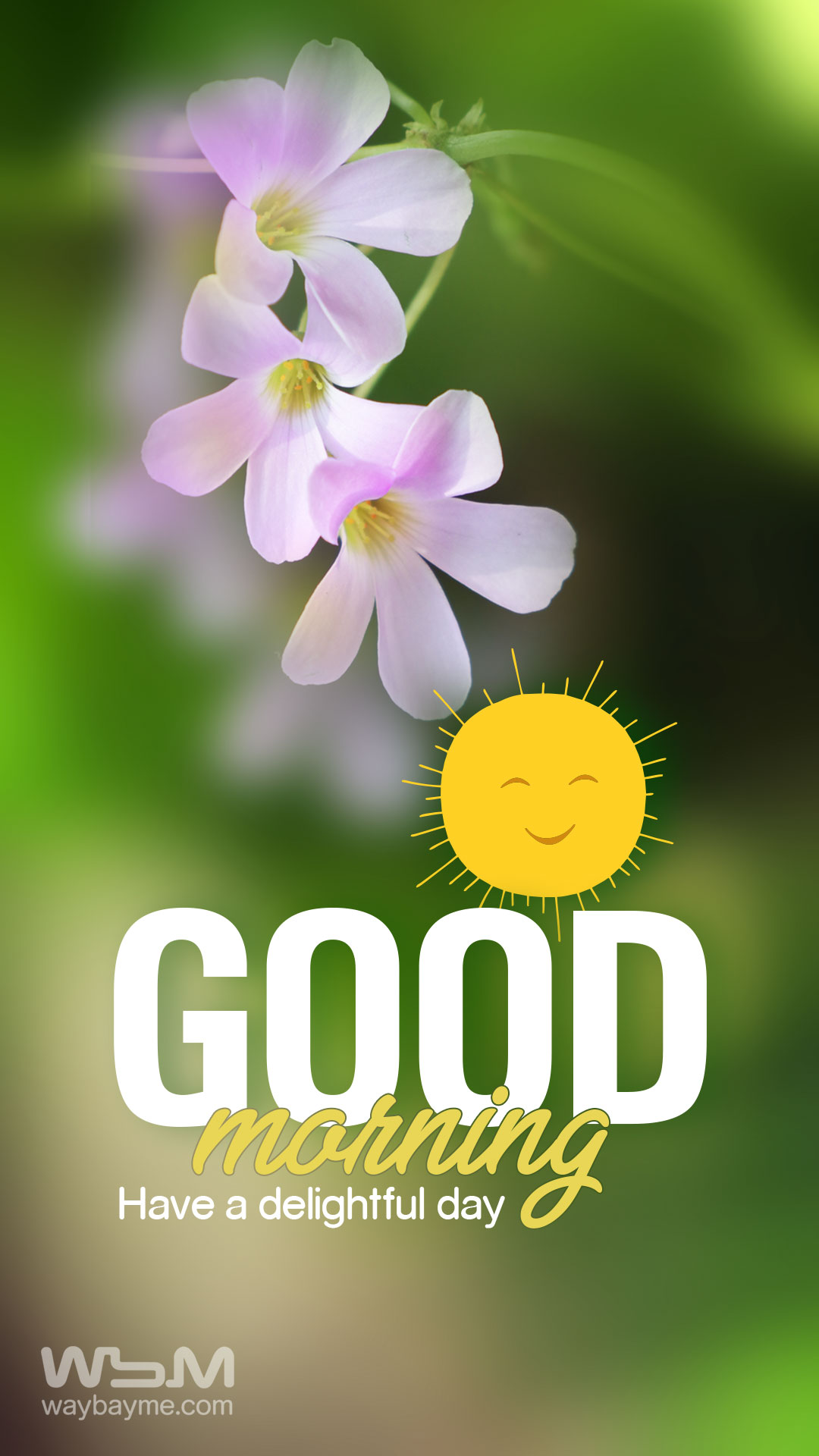 Images Of Good Day Wishes - Infoupdate.org