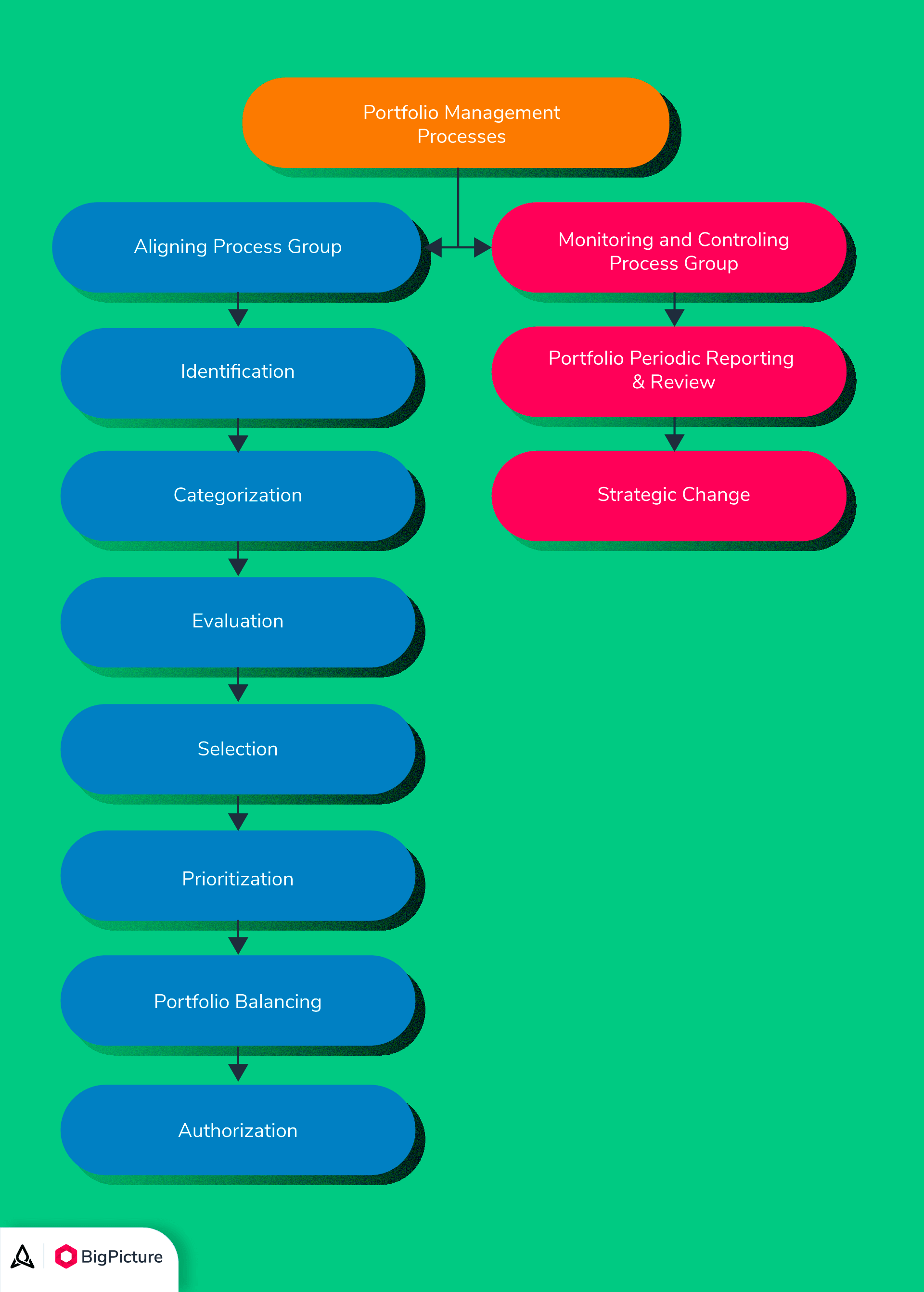 Guide To Project Portfolio Management Processes - BigPicture