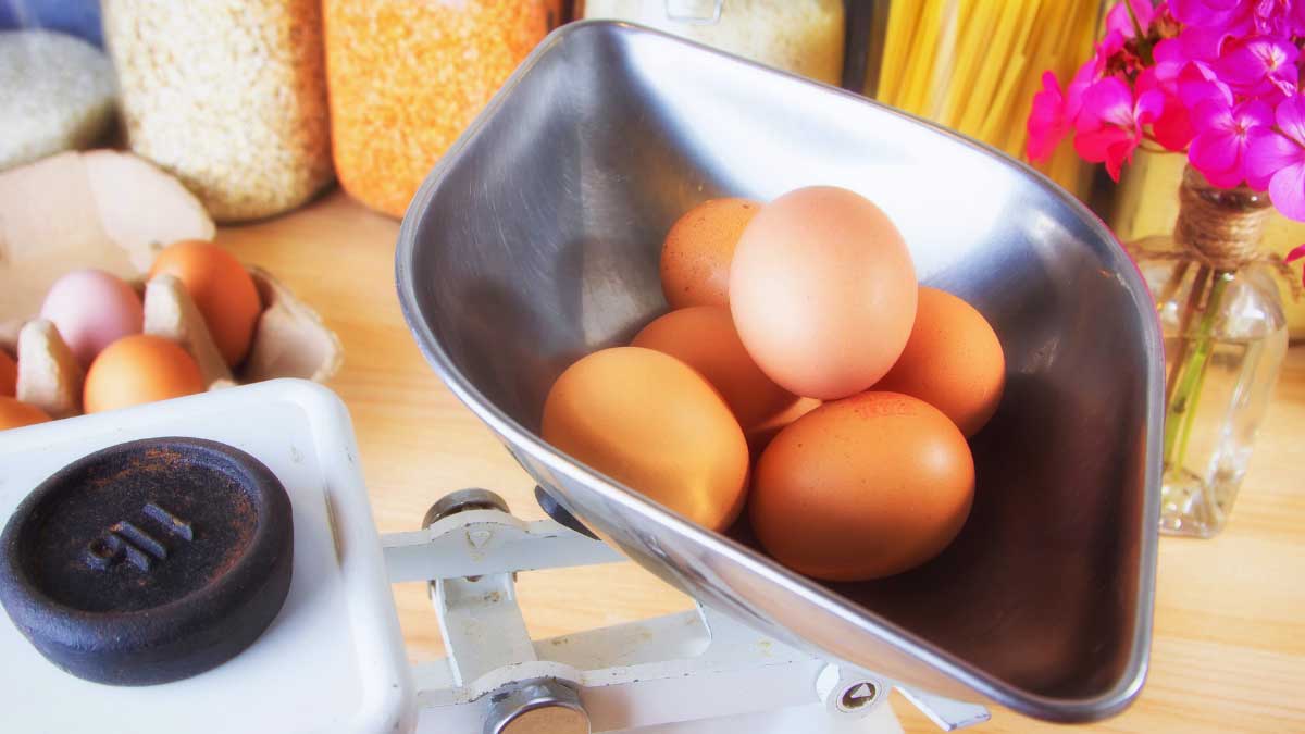 How Much Does An Egg Weigh: A Guide To Egg Sizes & Weights