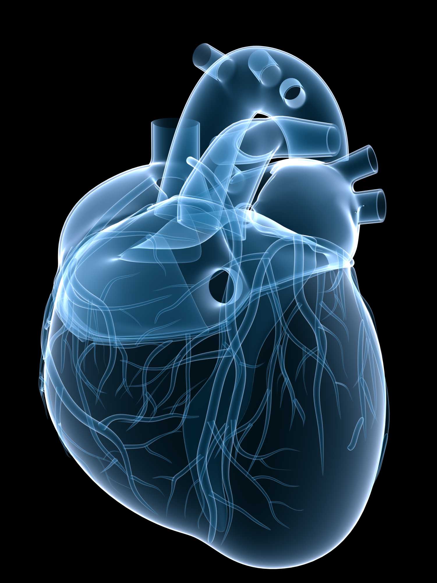 Scientifically Speaking: Helping Your Heart