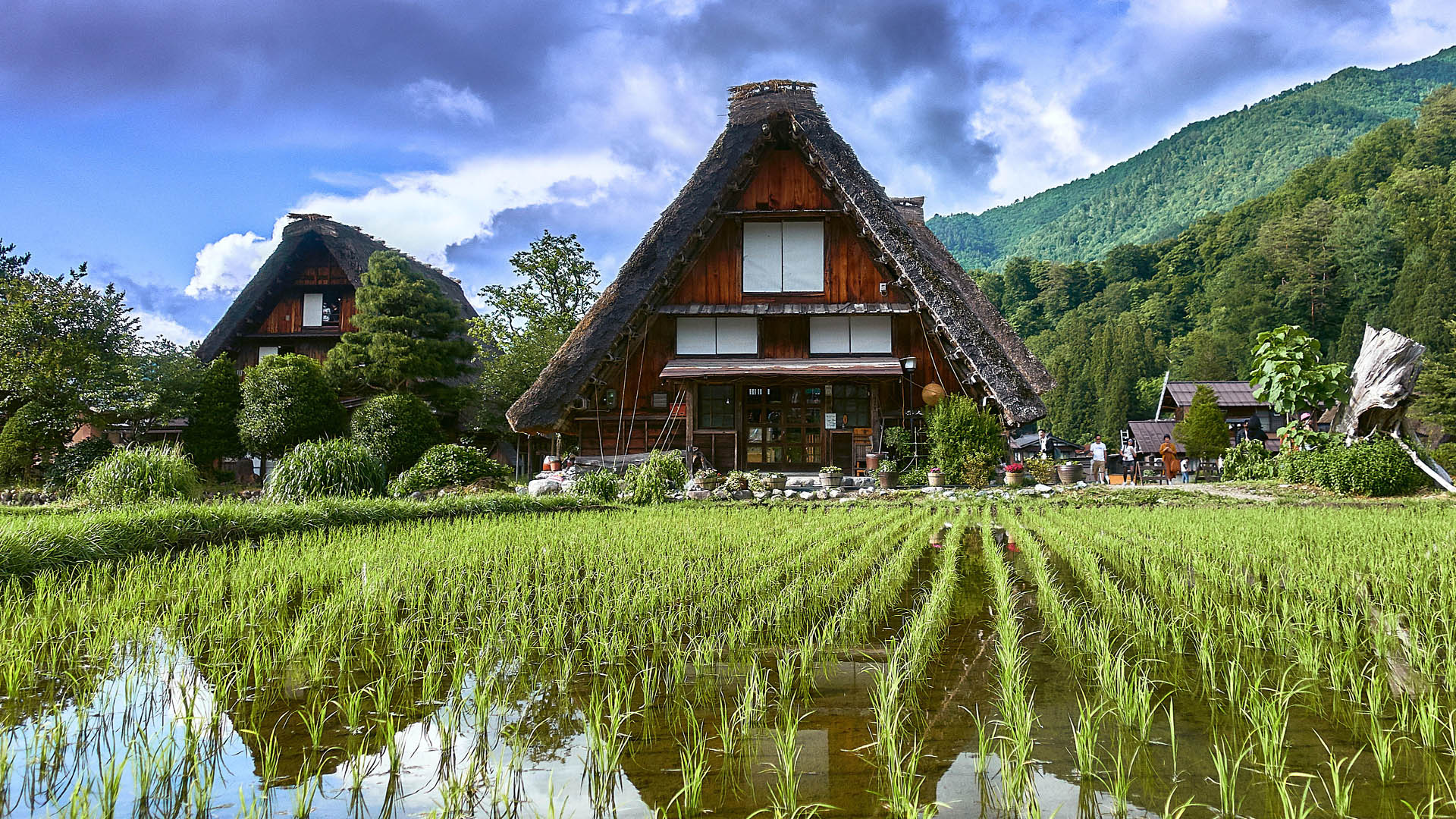 Shirakawa-gō Historic Traditional Village, Gifu Prefecture, Japan| Windows Spotlight Images