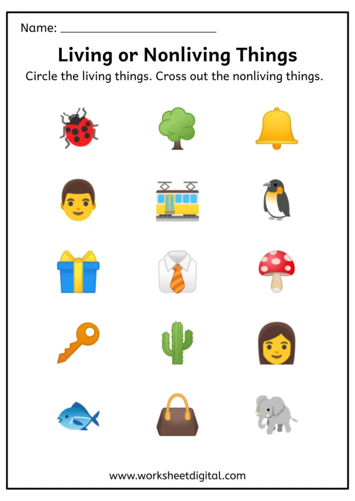 Living or Nonliving Things Worksheet - Worksheet Digital | #1 Teacher-Made Resources