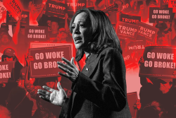 ‘Go woke, go broke’ is no longer true. Socially aware capitalism is the future of corporate ...