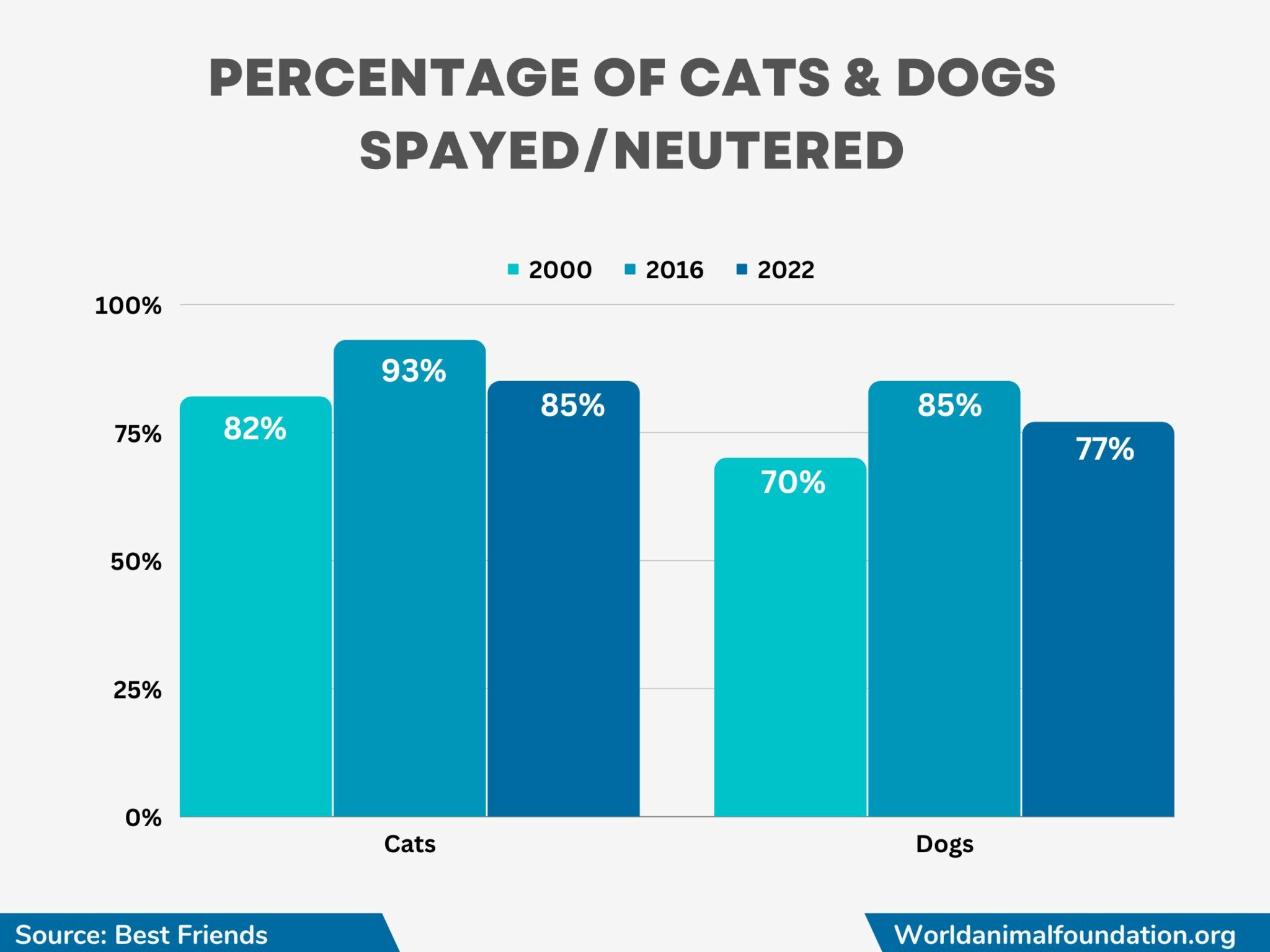 Animal Shelter Statistics - Pet Lifesaving By The Numbers!!